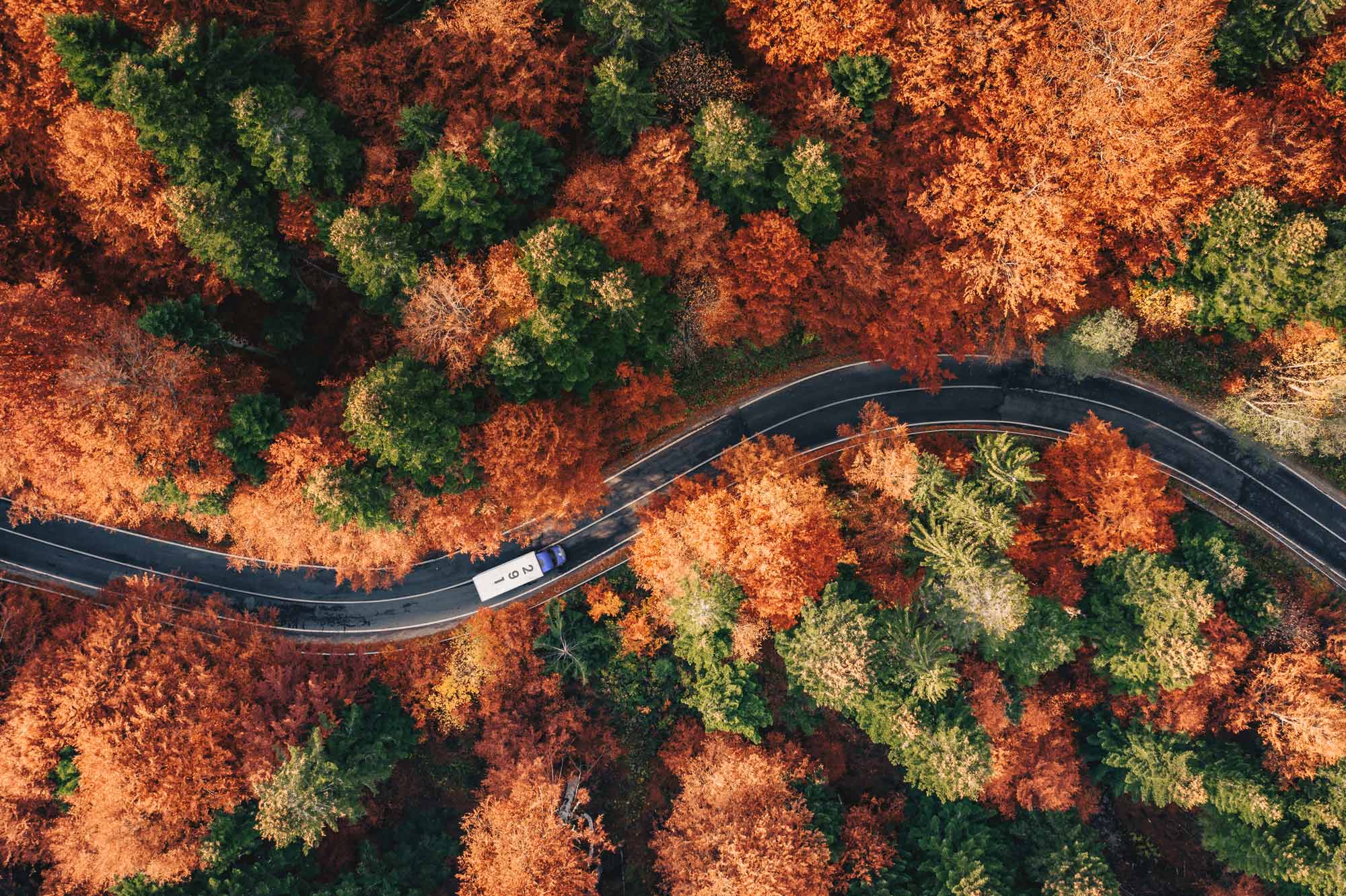 Lkw fährt durch Herbstwald